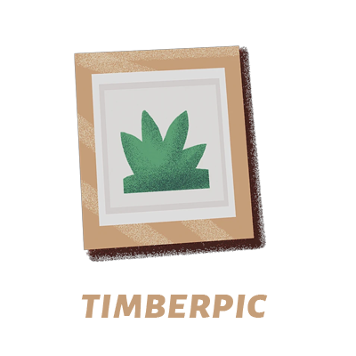 www.timberpic.com Classic elegance